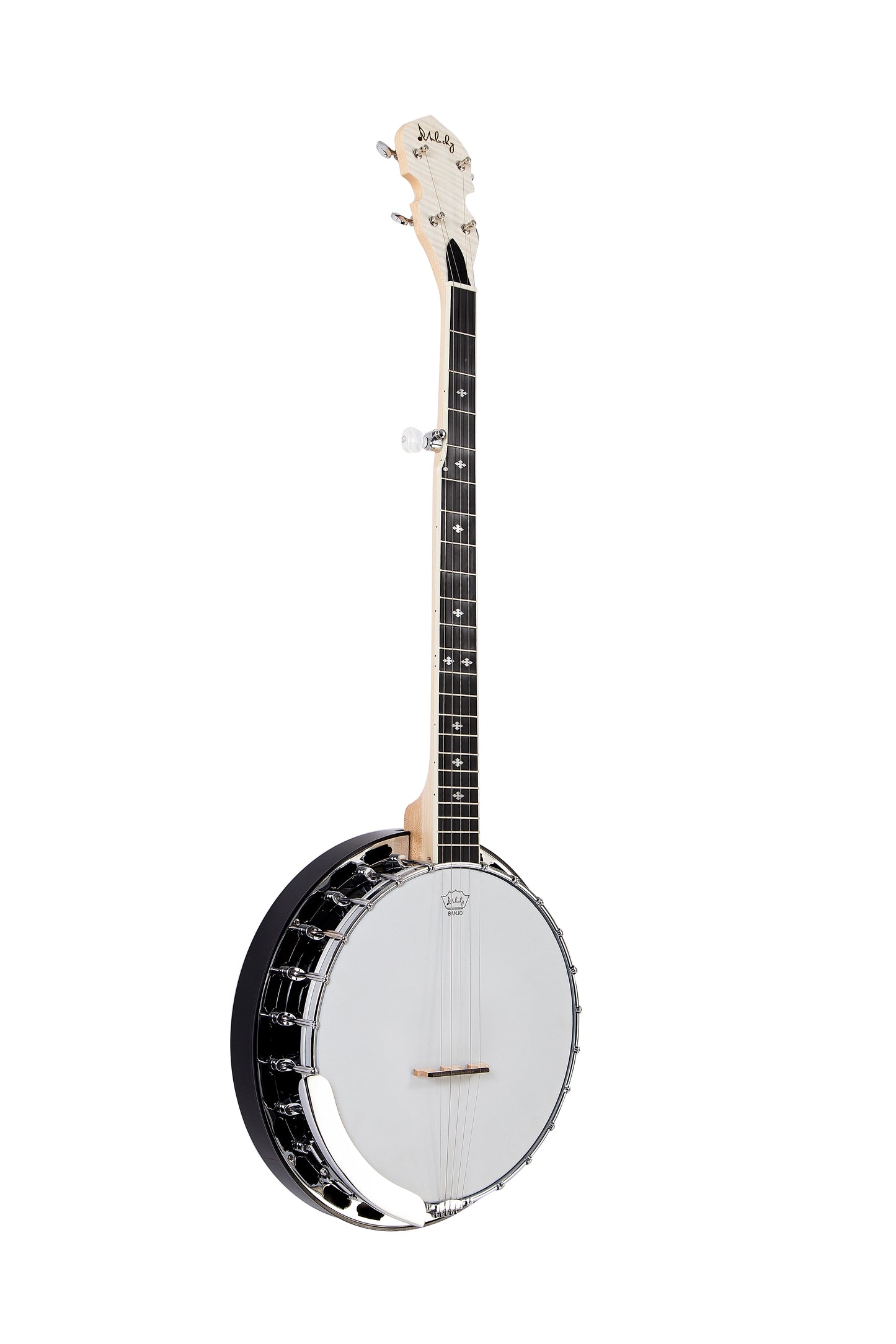 Vangoa Banjo 5 String Acoustic Electric Full Size Closed Back Set with  Mahogany Resonator Remo Head Banjoe 24 Brackets with Geared 5th Pegs for